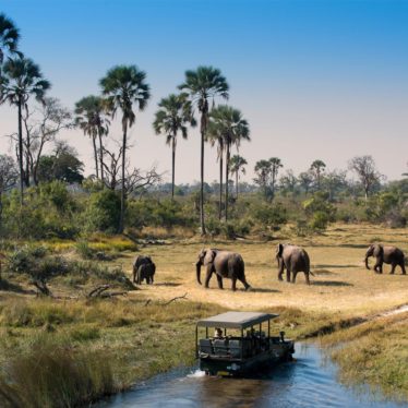 Top 10 safaris africanos