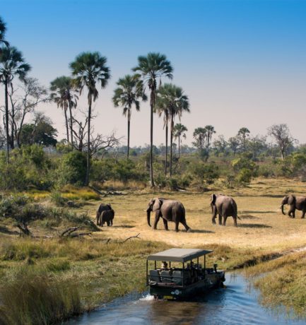 Top 10 safaris africanos